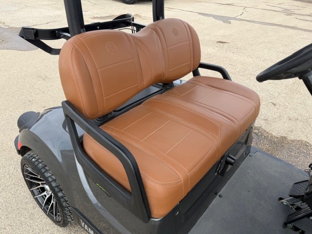 2026 YAMAHA GOLF DRIVE 2