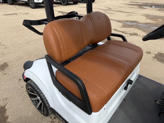 2026 YAMAHA GOLF DRIVE 2