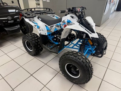 2025 TRAILMASTR F125 Base